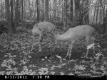 CDY_0202.jpg