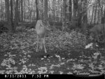 CDY_0204.jpg