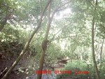 MDGC0047.jpg