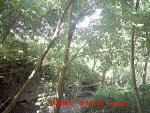 MDGC0050.jpg