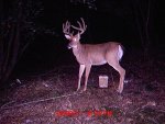 Trail Cam 2011 257.jpg