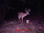 Trail Cam 2011 249.jpg