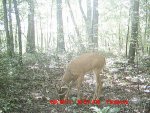 wde boy 3.jpg