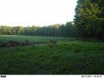 8-15-11 buck trio 2.jpg
