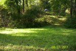 Food Plot 5.jpg