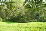 Food Plot 6.jpg