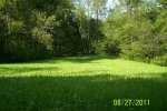 Food Plot 4.jpg