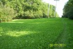 Food Plot 2.jpg