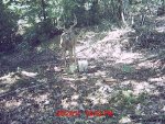 MDGC1015.jpg