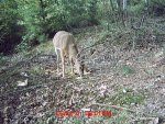 MDGC0778.jpg