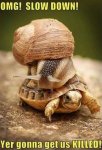 ImageUploadedByTapatalk1405480437.305672.jpg