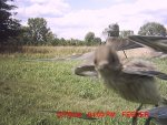 MDGC0102__1405604553_42462.jpg