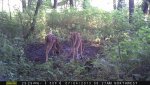 MFDC0445__1405604829_28517.jpg