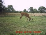 MDGC0077__1405604289_27296.jpg