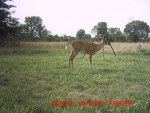 MDGC0074__1405639570_93802.jpg