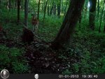 HUNT2225.jpg