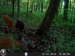 HUNT2234.jpg