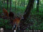 HUNT2242.jpg