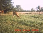 MDGC0122__1406812547_23519.jpg