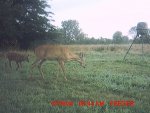 MDGC0073__2___1406420859_10601.jpg
