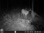 HUNT0014.jpg