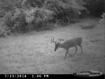 CDY_0030.JPG