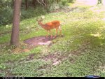 CDY_0007.jpg