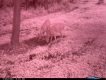 CDY_0022.jpg