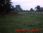 MDGC0101__1407354036_76670.jpg