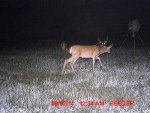 MDGC0109__1407618930_75681.jpg