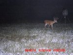 MDGC0113__1407354439_87447.jpg