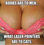 ImageUploadedByTapatalk1408089727.771747.jpg