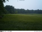 EK000093 - Copy.JPG