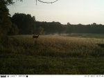 EK000261 - Copy.JPG