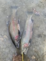 IMG_2830.jpeg