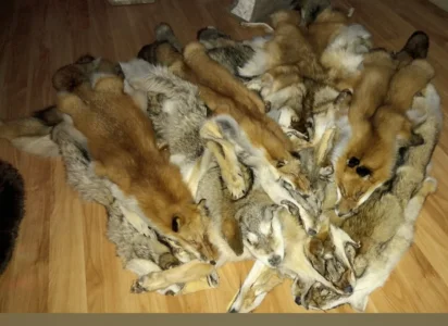 Screenshot_20250419_080515_Gallery.webp