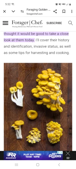 Screenshot_20250504_173202_Chrome.webp