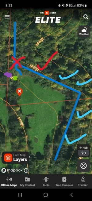 Epic turkey hunt.webp