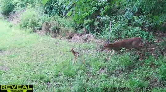 Screenshot_20250531_125024_Gallery.webp