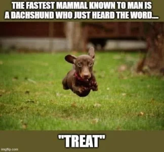 FB_IMG_1748604775612.webp