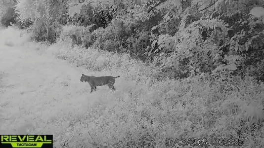 VideoCapture_20250708-073021.webp