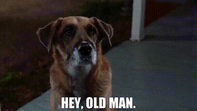 b10f4fc4-22f2-465f-b334-35eea5072539_text.gif