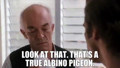 e3da2bcf-c60a-4605-9613-34878d343d66_text.gif