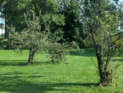 1000011242.webp