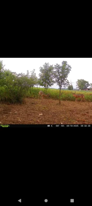 Screenshot_20250819-120656.webp