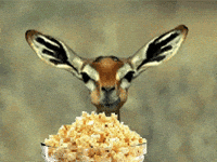 1755958897266.gif