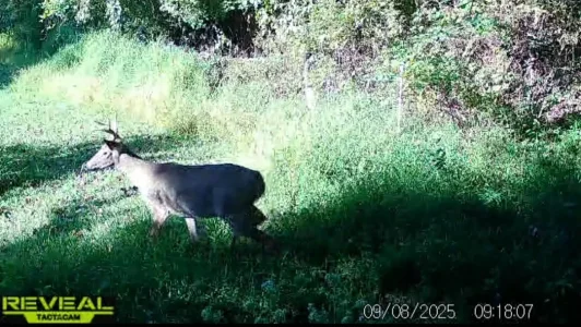 Screenshot_20250908_223537_Gallery.webp