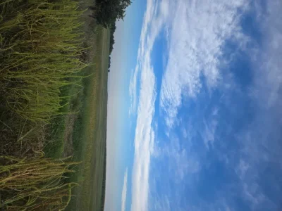 1000004727.webp