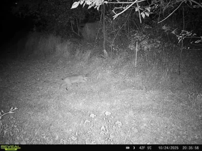 864049057201883-100-4-10242025203556-V-W1002410 (1).webp