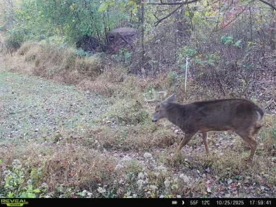 864049057201883-100-4-10252025175940-V-W1002436 (1).webp